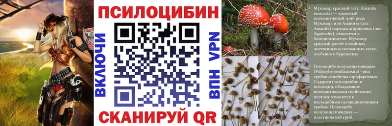 ссылка на мегу ССЫЛКА  Лермонтов  Галлюциногенные грибы MAGIC MUSHROOMS 
